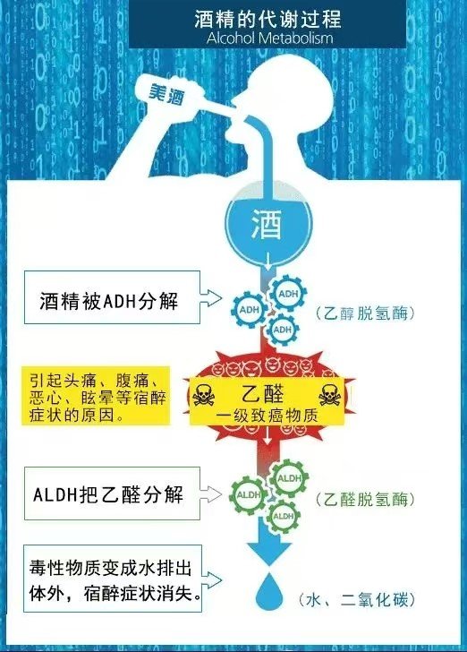 http://111.51.120.18:8080/_vsl/D41D77A5B5B7C860C6C0C419D6D45D95/473CB9D1/176B2